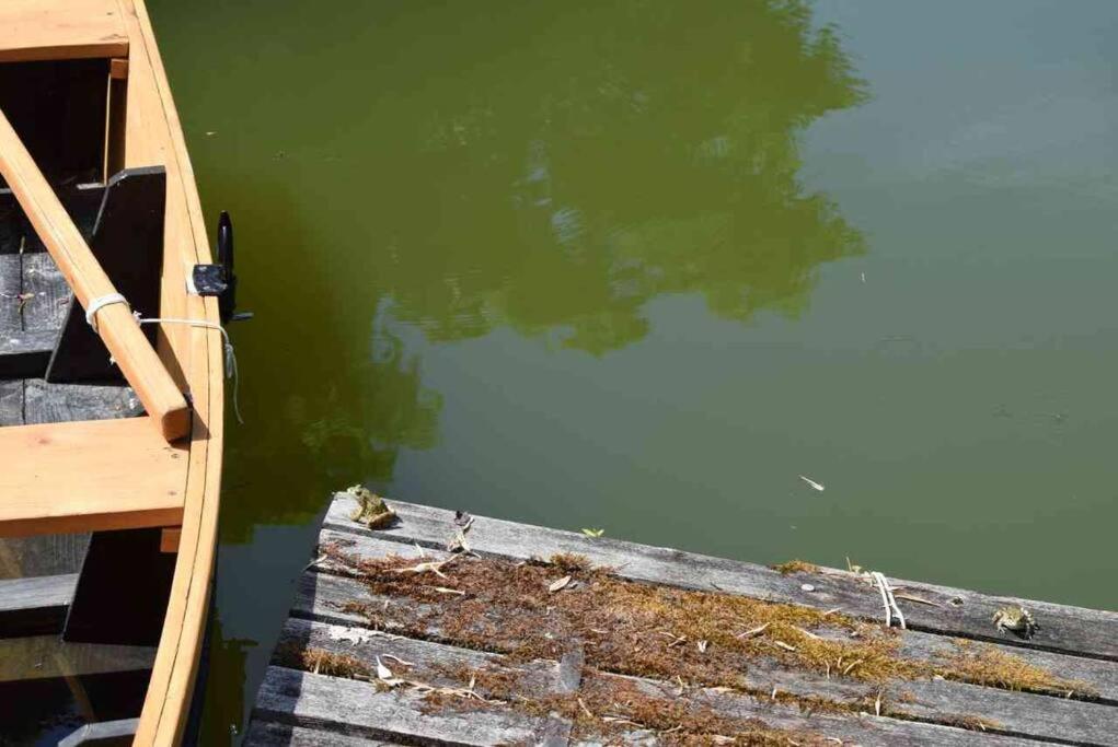 Vila Romantique, Avec Son Petit Etang Prive En Dordogne Montignac-Lascaux Exteriér fotografie