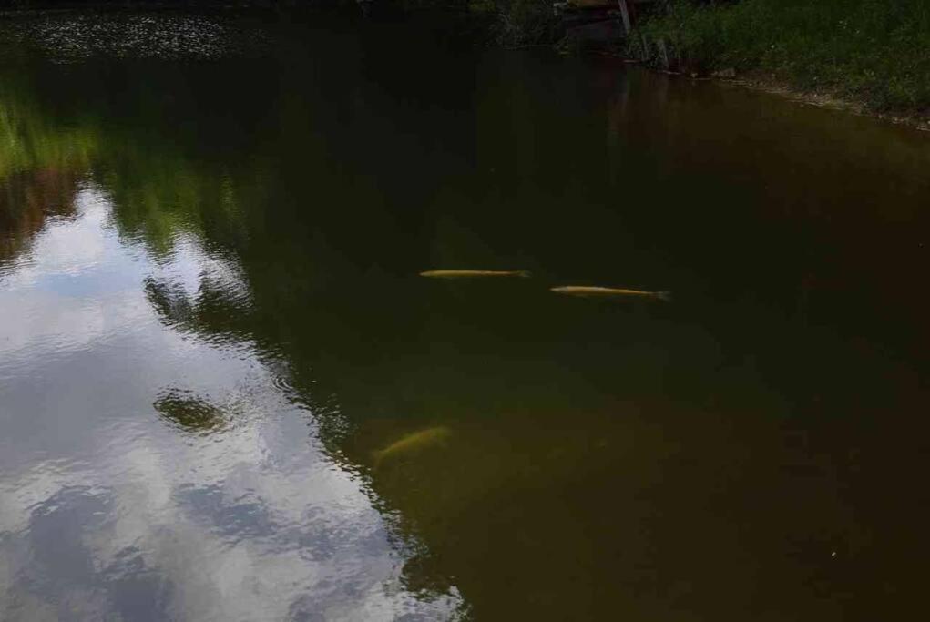 Vila Romantique, Avec Son Petit Etang Prive En Dordogne Montignac-Lascaux Exteriér fotografie