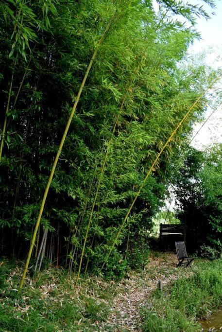 Vila Romantique, Avec Son Petit Etang Prive En Dordogne Montignac-Lascaux Exteriér fotografie